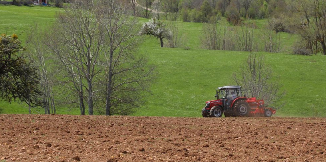 Ordu'nun atıl arazileri bereketleniyor: 34 bin 800 dekar atıl arazi tarıma kazandırıldı