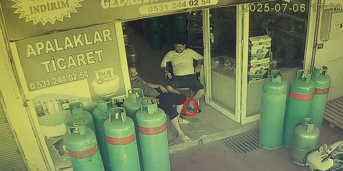 Dükkana giren yılan, esnafı sokağa fırlattı