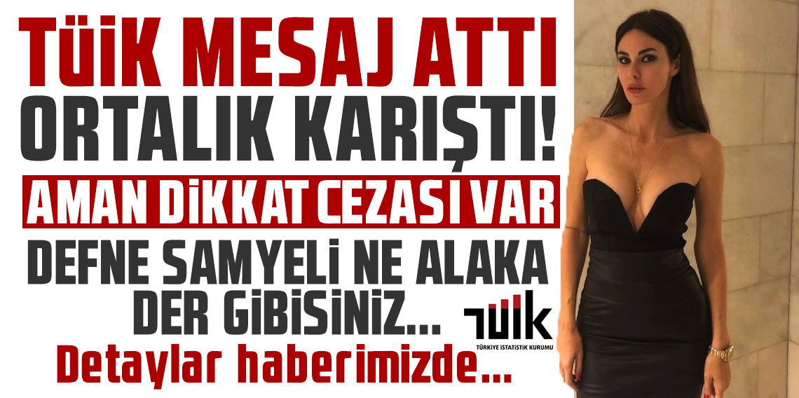 TÜİK mesaj attı ortalık karıştı! Aman dikkat cezası var! Defne Samyeli....