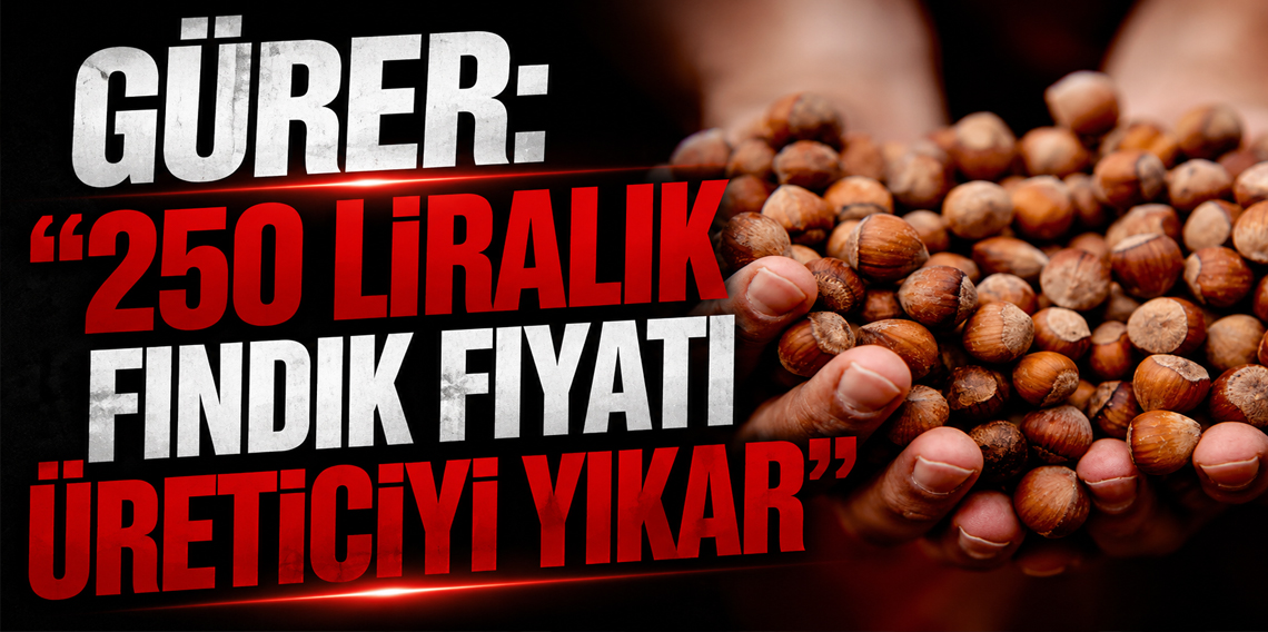 Gürer: 