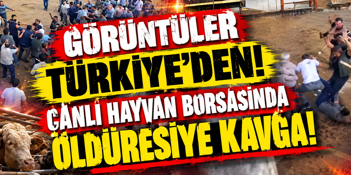 Canlı hayvan borsasında öldüresiye kavga!