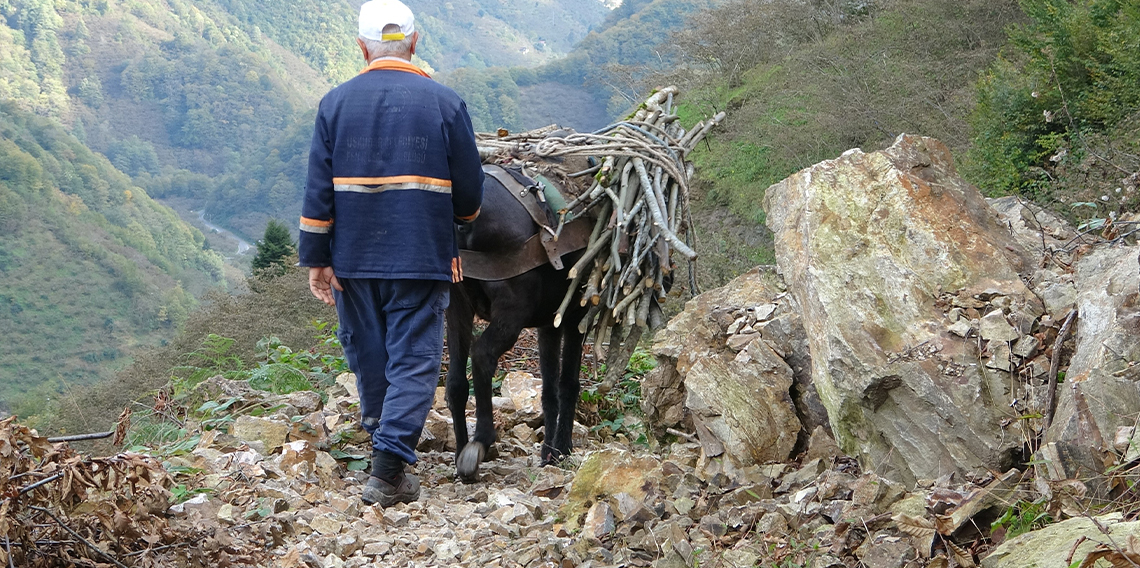 Giresun'da katırcılık artık sona eriyor...