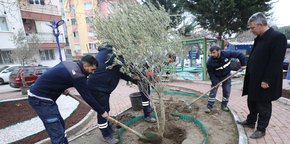 Hem doğaya katkı hem estetik görünüm