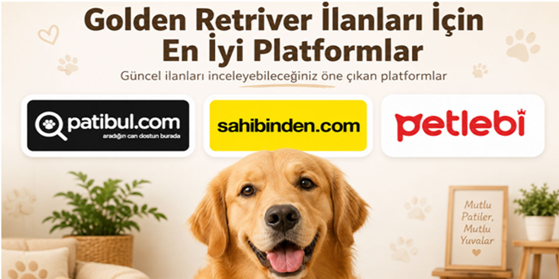 Golden Retriver İlanları için  En İyi Platformlar