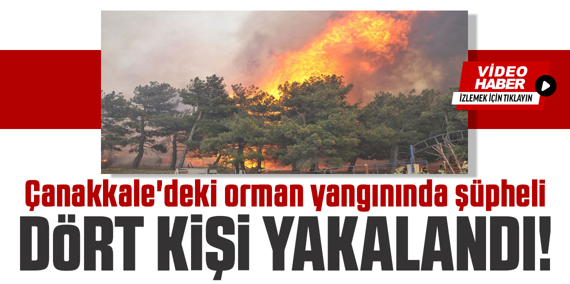 Çanakkale'deki orman yangınında 4 gözaltı