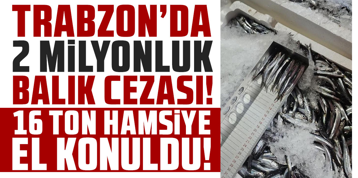 Trabzon’da 2 milyonluk balık cezası! 16 ton hamsiye el konuldu