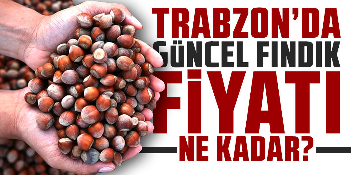 Trabzon'da güncel fındık fiyatı ne kadar? Kaç lira oldu?