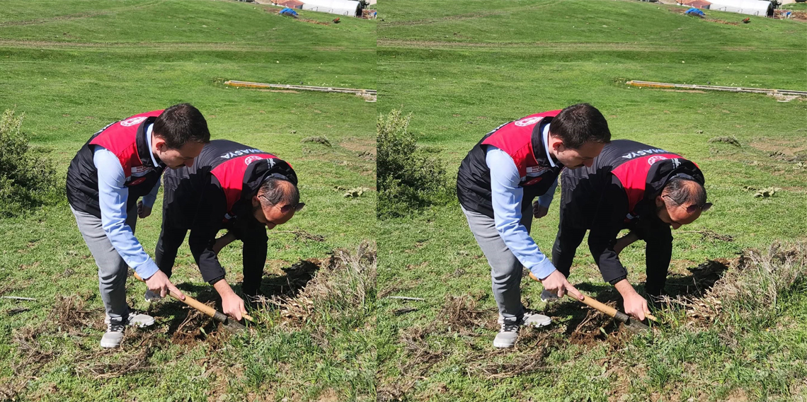 Amasya’da tarım ekipleri süne sürvey çalışmalarını sürdürüyor