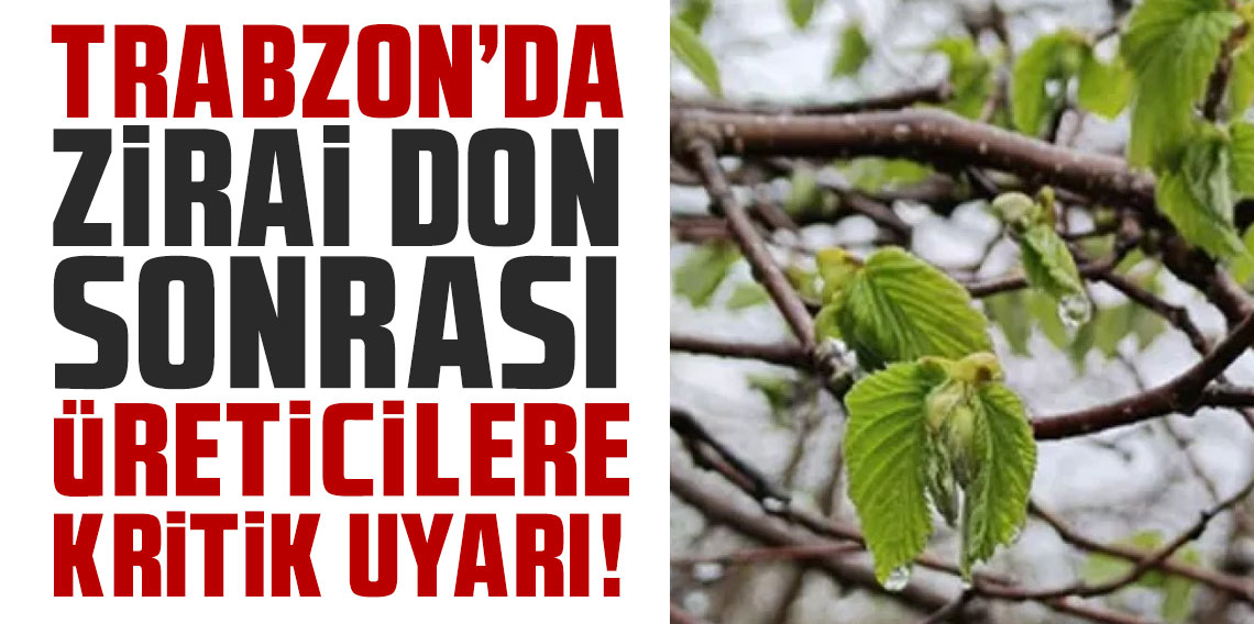 Trabzon'da zirai don sonrası üreticilere kritik uyarı!