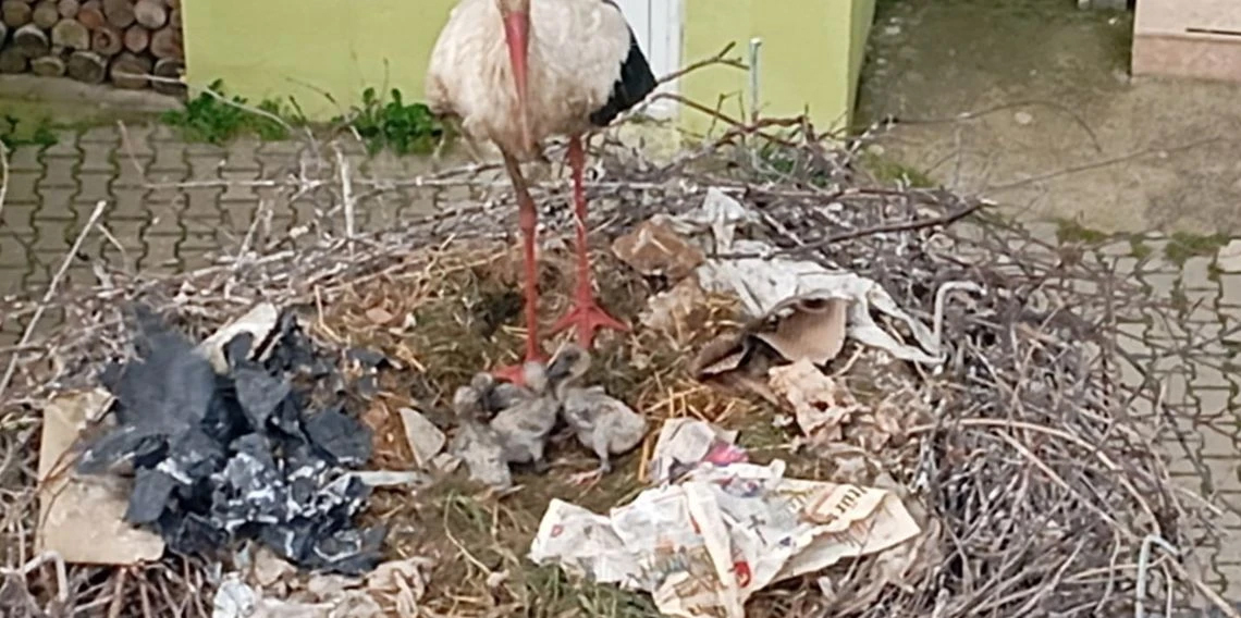 Yaren’in rakibi Bilal Leylek baba oldu