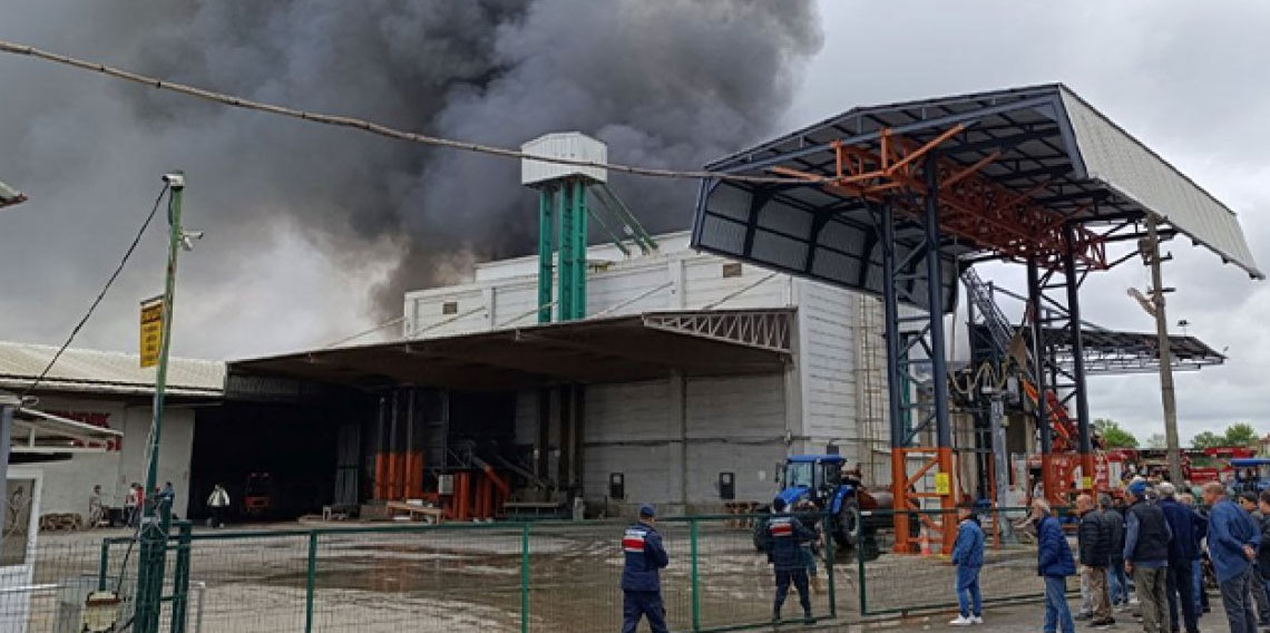Fındık kırım fabrikasında yangın!
