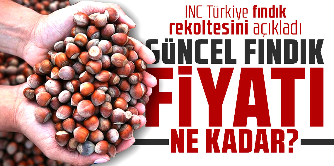 INC Türkiye fındık rekoltesini açıkladı, fındık fiyatları 220 liradan 180 liraya düştü!