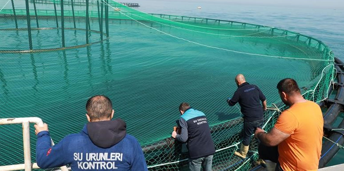Trabzon'da denizdeki balık kafeslerine denetim