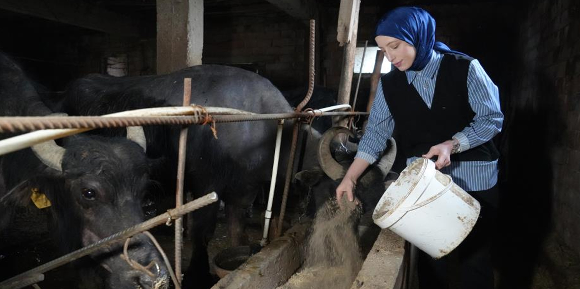 Bayburt'ta Ticari süt işletmelerince 1 milyon 15 bin 647 ton inek sütü toplandı