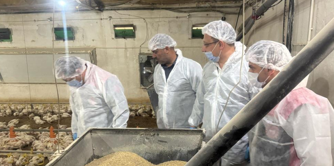 Mart ayında yıllık tavuk yumurtası üretimi yüzde 8,8 azaldı