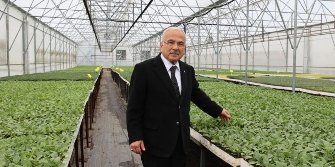 Ordulu üreticilere 380 bin fidenin dağıtımına başladı