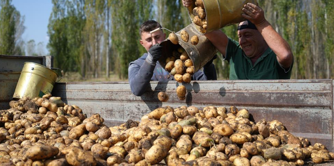 Tarım-GFE yıllık yüzde 29,73 arttı