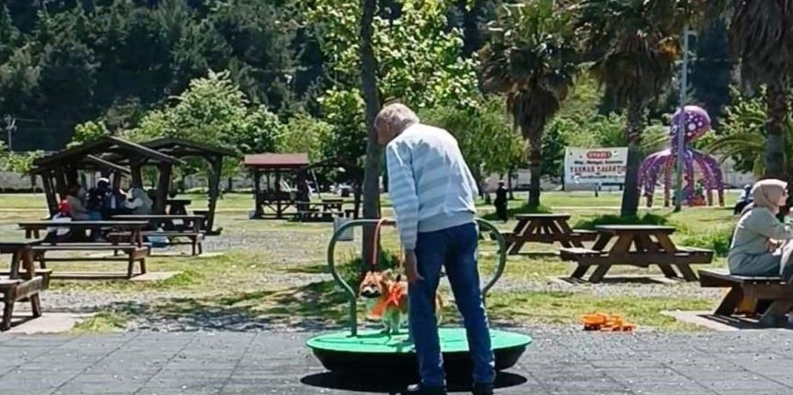 Köpeğin park keyfi görenlere tebessüm ettirdi