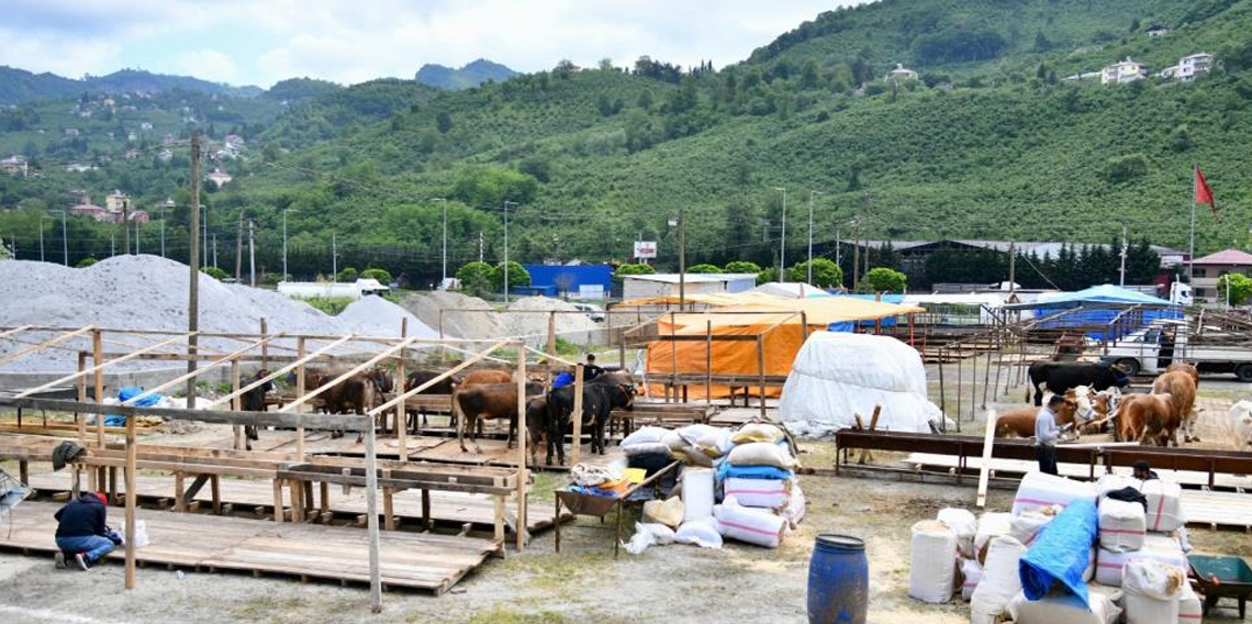Trabzon’a kurbanlıklar gelmeye başladı