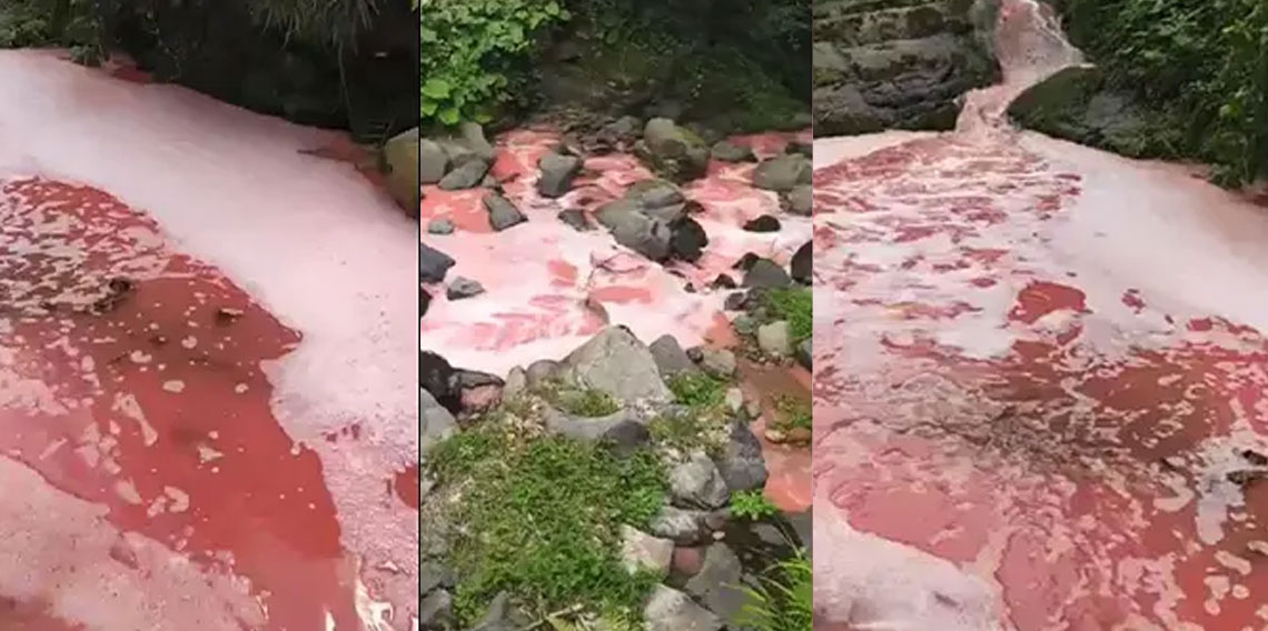 Rize'de derenin rengi kırmızıya döndü! Esrarengiz olaya inceleme