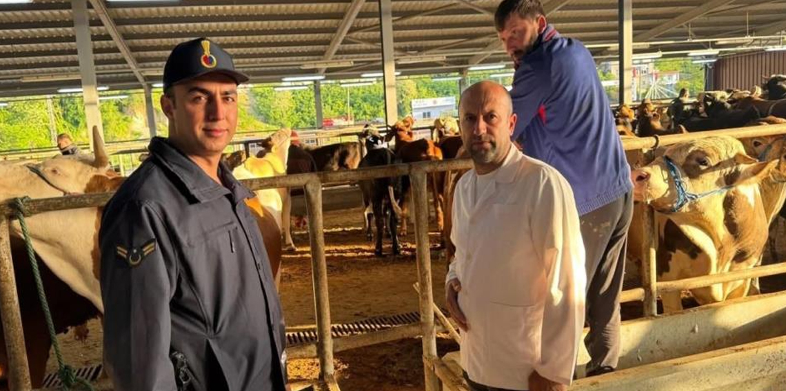 Kurban Bayramı öncesi hayvan pazarlarına denetim