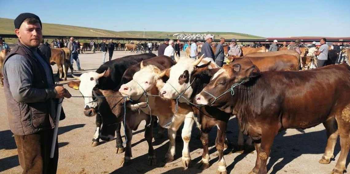 Bayburt’ta kurban kesim yerleri belli oldu