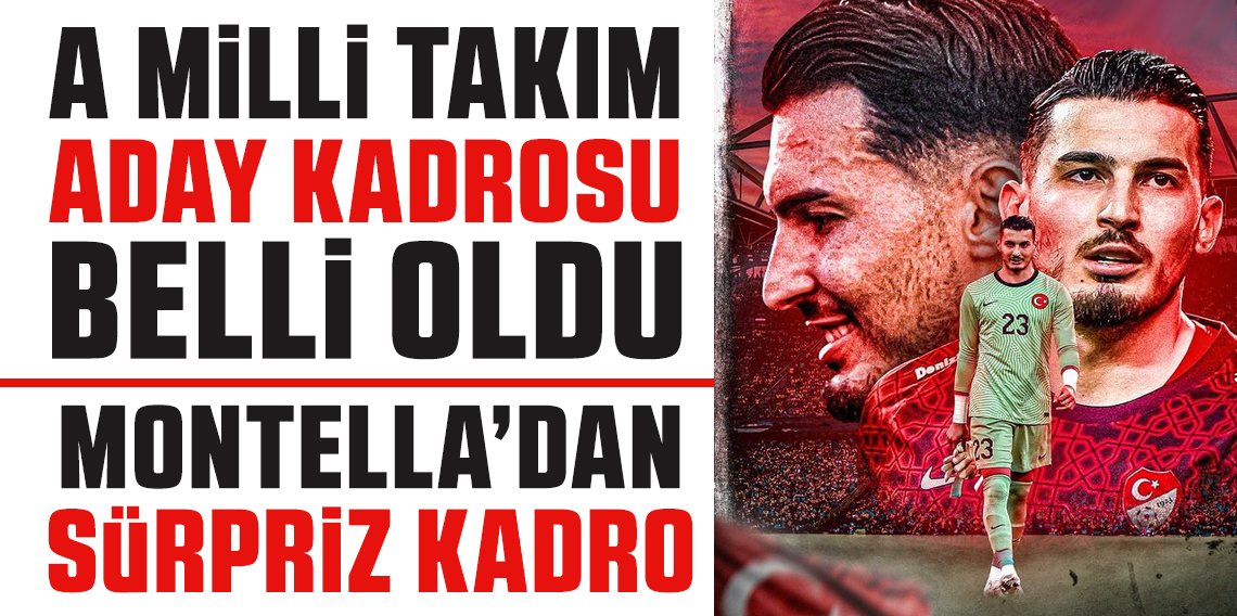 A Milli Takım'ın aday kadrosu belli oldu