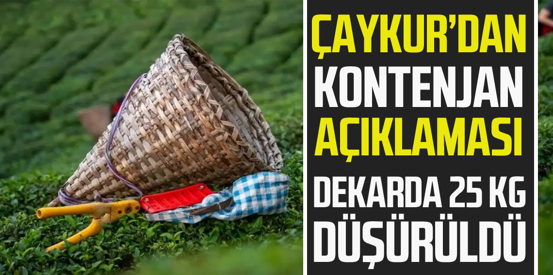 ÇAYKUR’dan kontenjan uygulaması