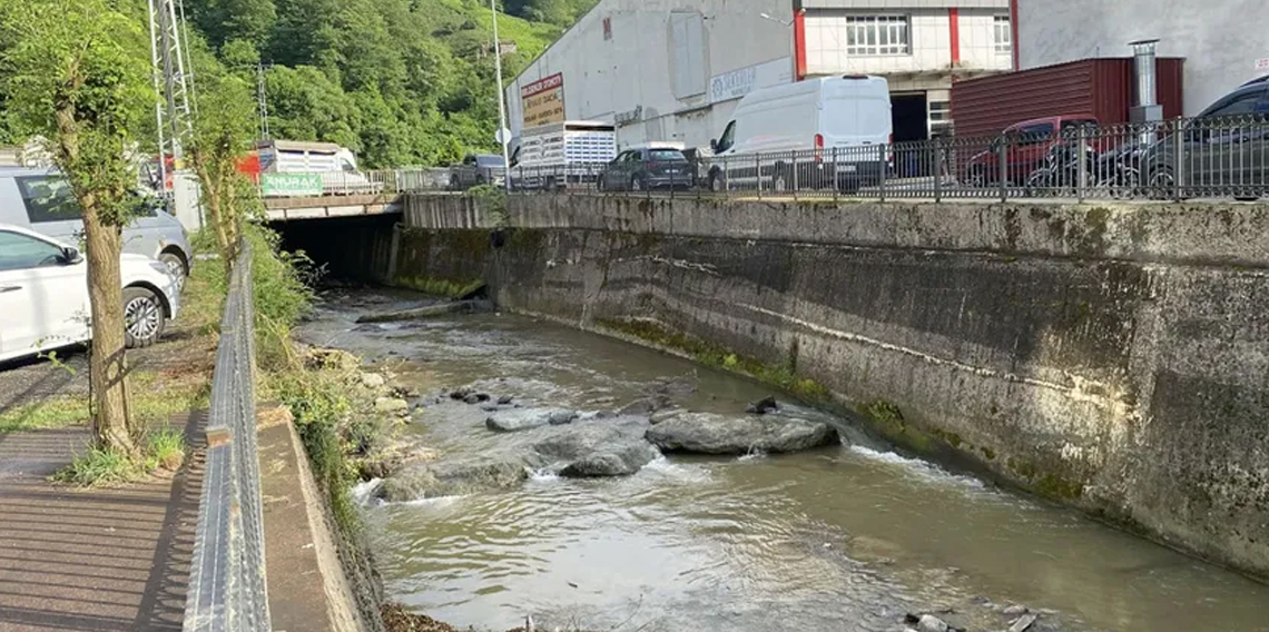 Rize'de derede balık ölümlerine inceleme