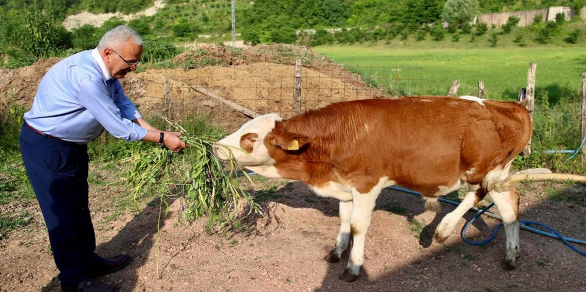 Ordu’da besicilerin yüzünü güldürüp, verimi arttıran destek