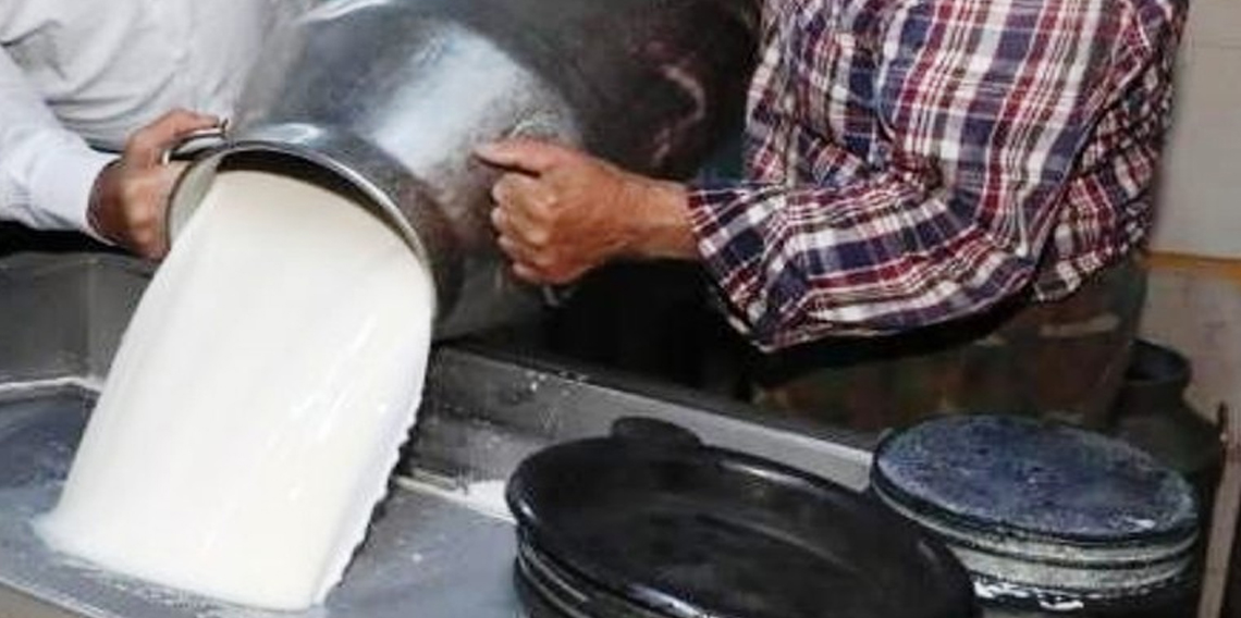Ticari süt işletmelerince 981 bin 10 ton inek sütü toplandı