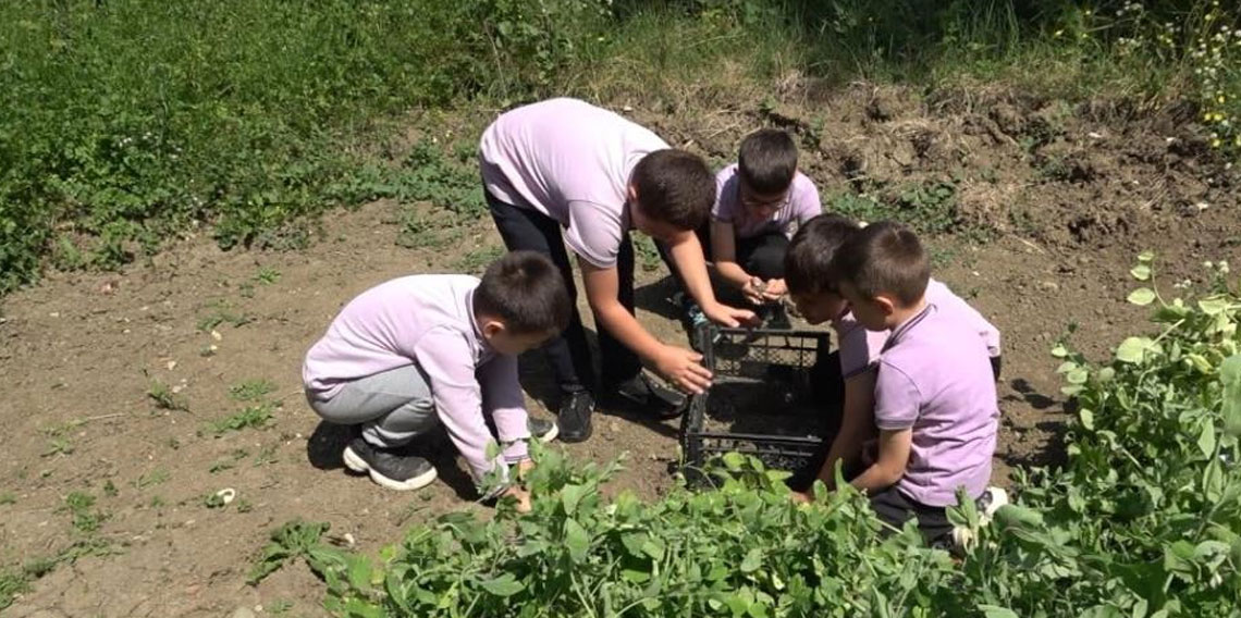 Sinop'ta çevreci eğitim modeli