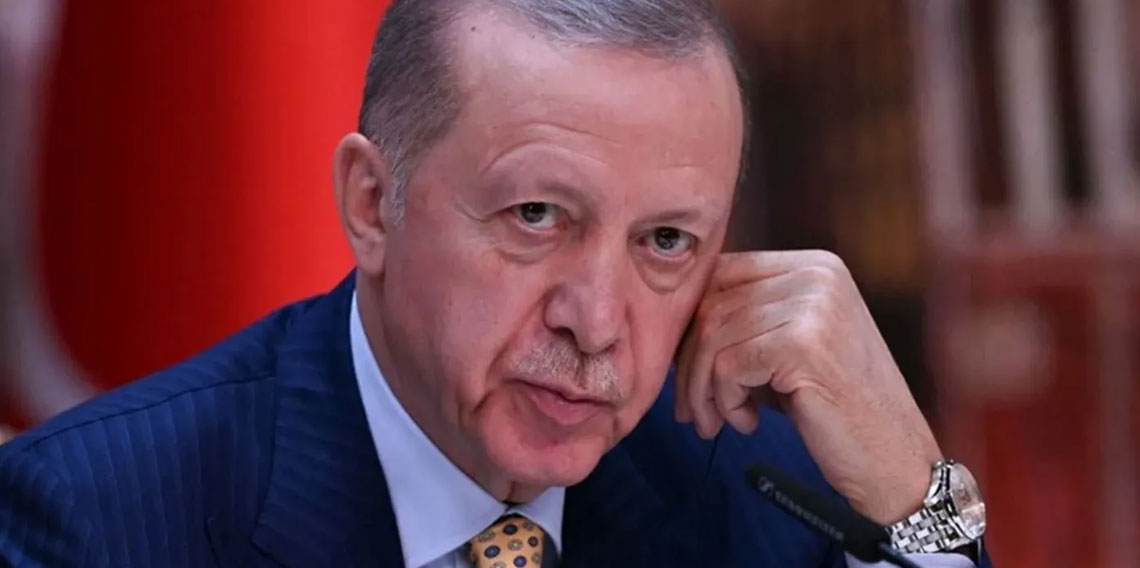 Erdoğan barış diplomasisini sürdürüyor: 