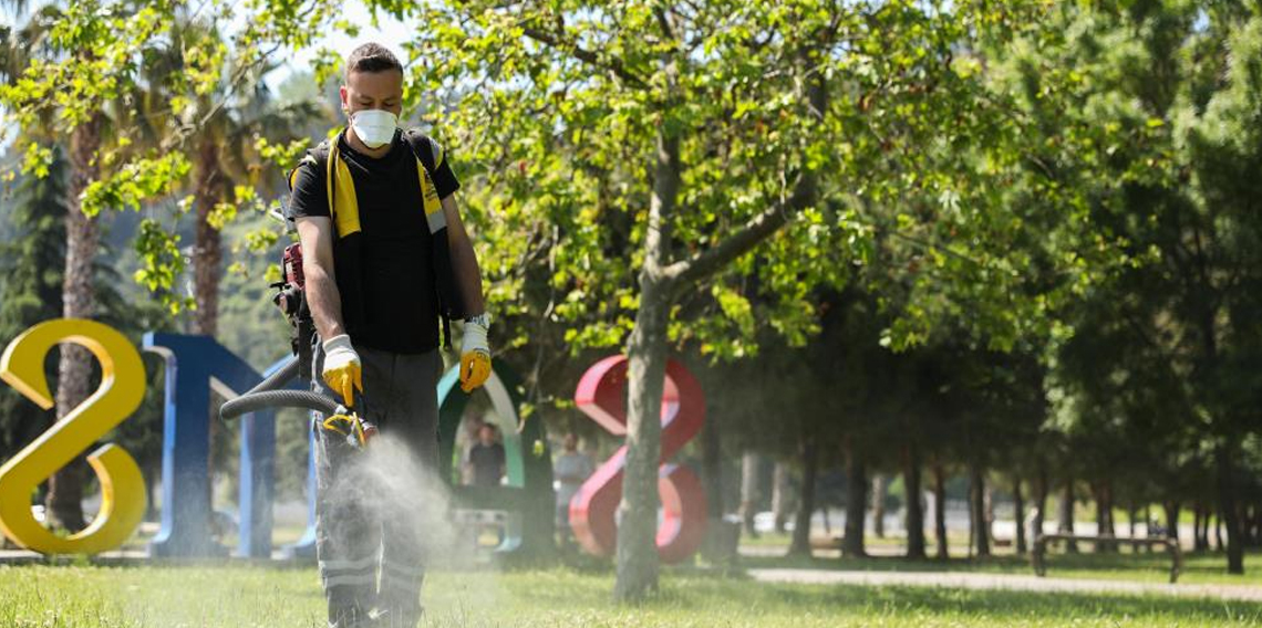 Samsun’da kenelere karşı ilaçlama seferberliği