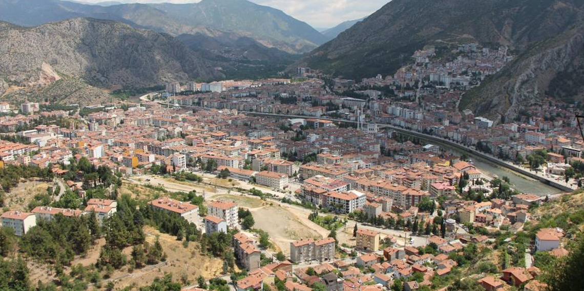 Kahverengi kokarca yayılıyor: Amasya’da da tespit edildi