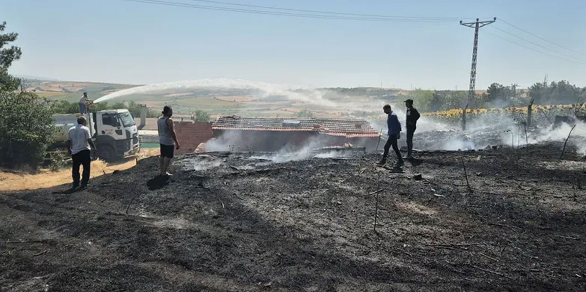 Tekirdağ'da çıkan yangın, 2 eve sıçradı: 100 dönüm alan kül oldu