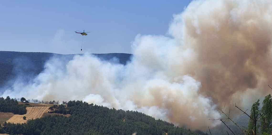 Sakarya’da orman yangını: Bölgeye çok sayıda ekip sevk edildi