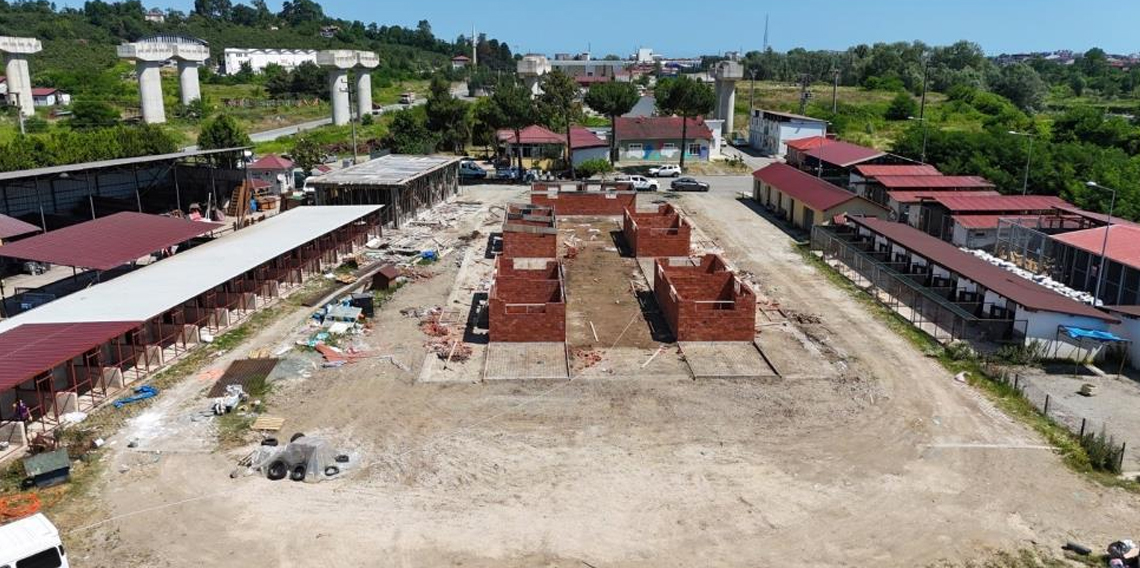 Ordu’da sokak hayvanlarına modern yaşam alanı