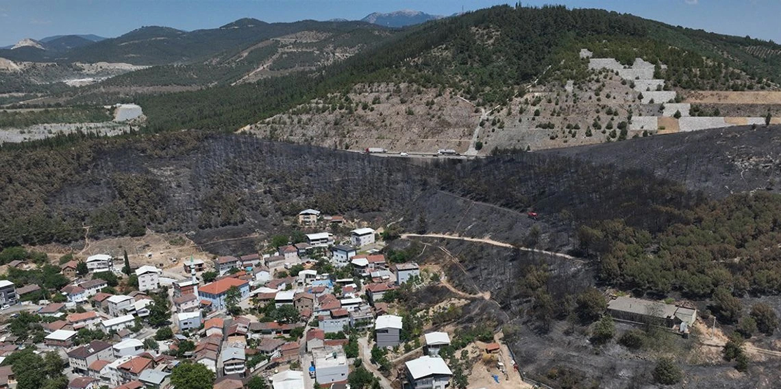 Zümrüt yeşili orman manzaraları kömürlüğe döndü