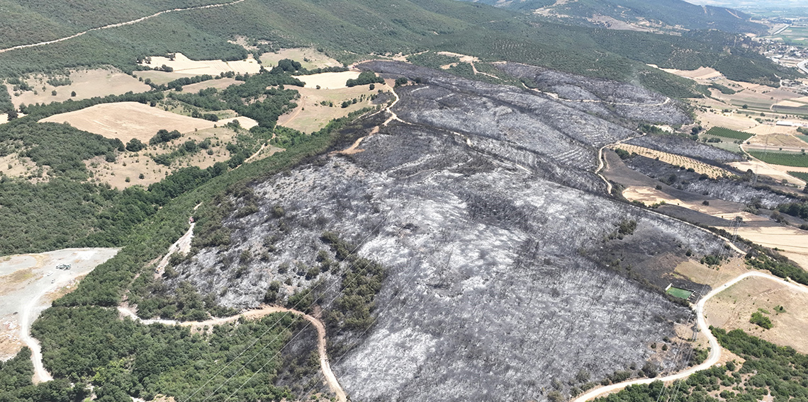 Bursa’daki yangınlarda 65 hektar küle döndü