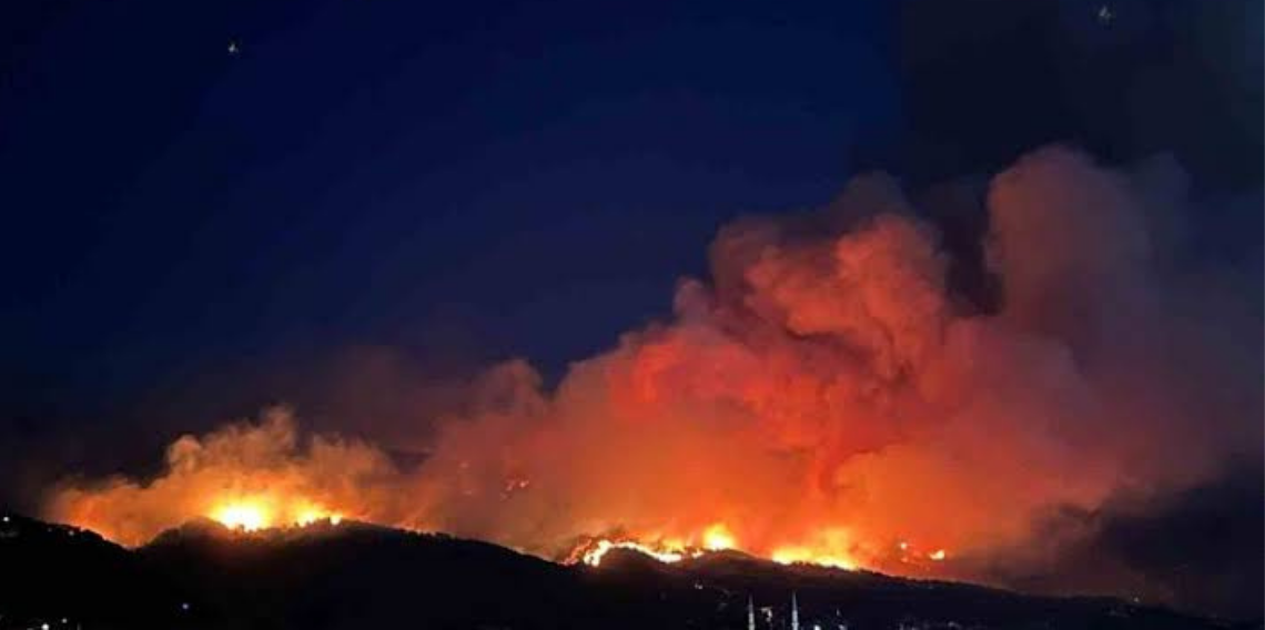 Hatay’daki orman yangınında alevler gökyüzünü aydınlattı