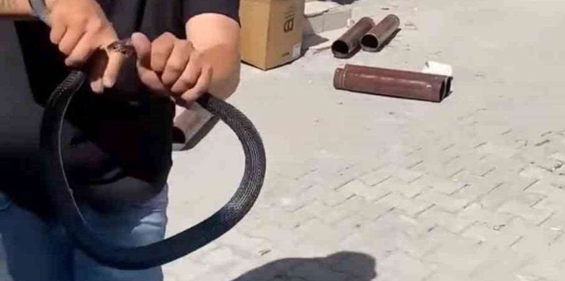 Eve giren yılanı yakalamak isterken parmağını kaptırdı