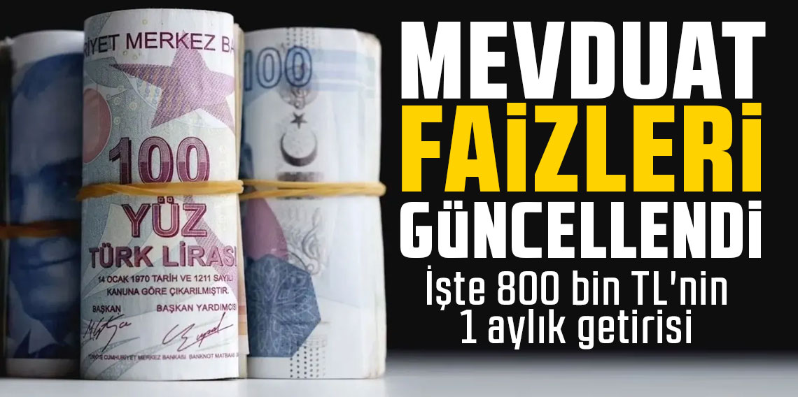Mevduat faizleri güncellendi! İşte 800 bin TL'nin 1 aylık getirisi