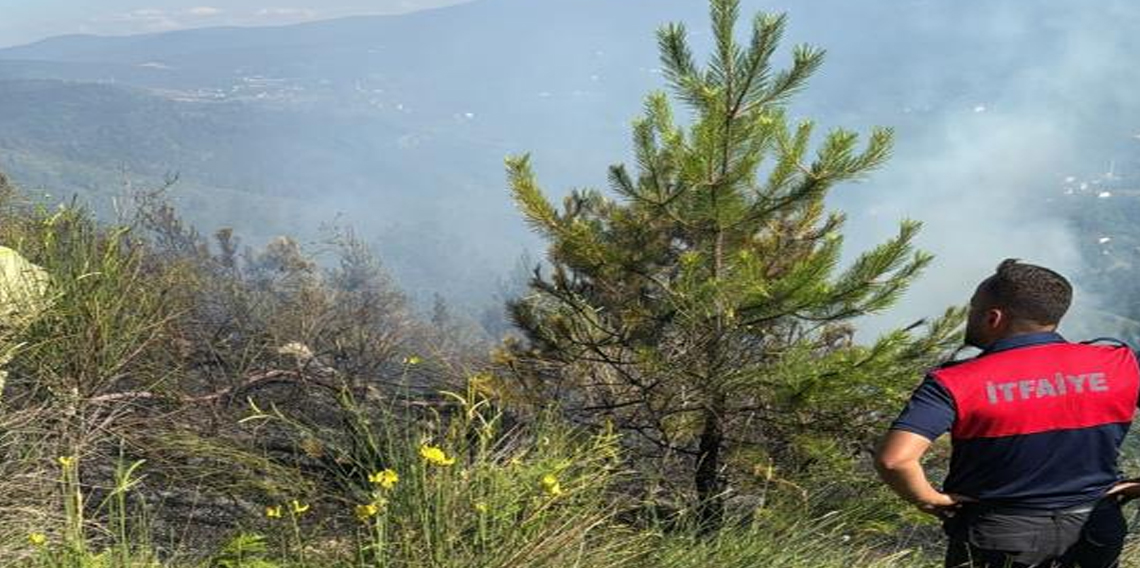 Sinop'ta çıkan orman yangını büyümeden söndürüldü