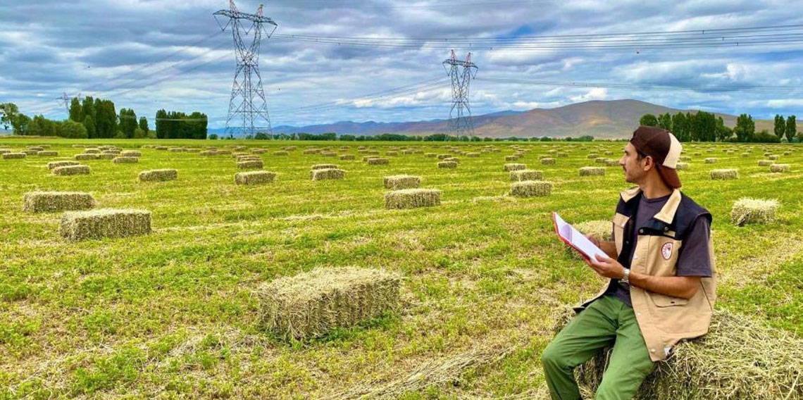 Bayburt'ta yem bitkileri ekim alanı tespit çalışmaları devam ediyor