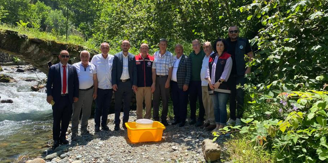 Trabzon'da 15 bin alabalık yavrusu suyla buluşturuldu