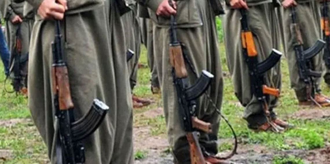 Selvi: Silah bırakma sürecinin 3-5 ayda tamamlanması bekleniyor