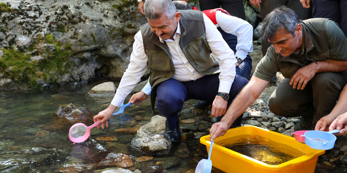 Artvin'de Hatila Vadisi Milli Parkı'ndaki dereye 5 bin alabalık yavrusu bırakıldı