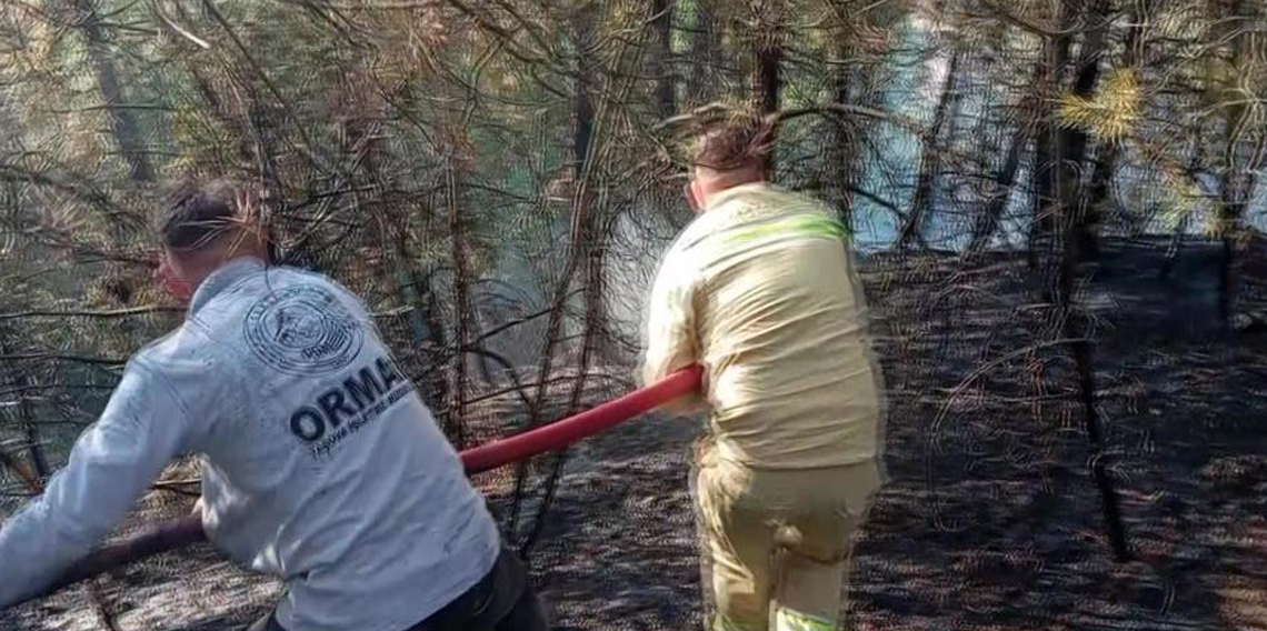 Amasya'da orman yangını