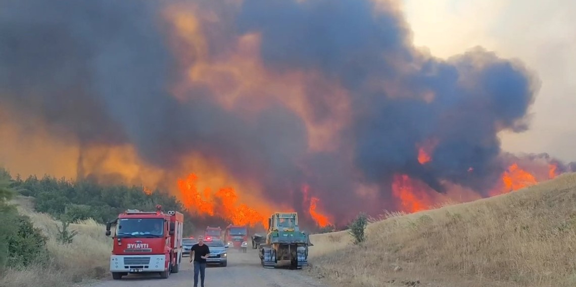 Tekirdağ’daki orman yangını kontrol altına alındı